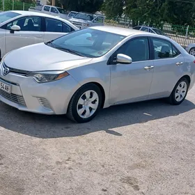 Toyota Corolla 2013