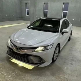 Toyota Camry 2019