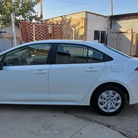 Toyota Corolla 2019