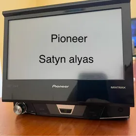 pioneer Satyn alyas