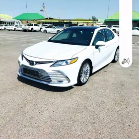 Toyota Camry 2019