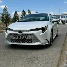 Toyota Corolla 2021