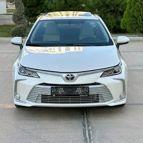 Toyota Corolla 2021