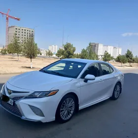 Toyota Camry 2020