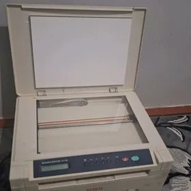 Xerox 3119