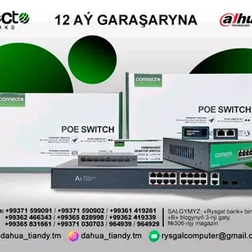 Connecto Switch