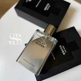 Zara SILVER SPECIAL EDITION