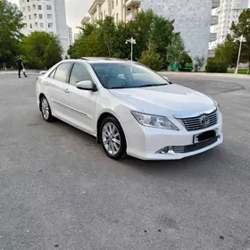 Toyota Aurion 2013