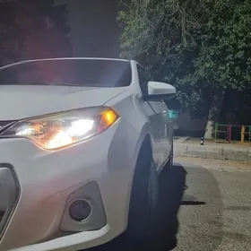 Toyota Corolla 2014