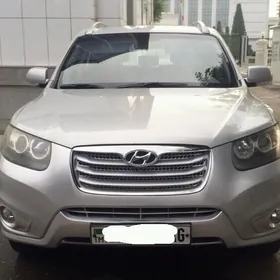 Hyundai Santa Fe 2009