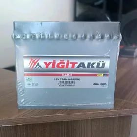 ÝIGIT AKU 12V74AH