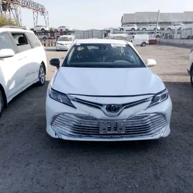 Toyota Camry 2019