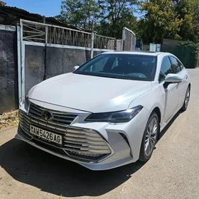 Toyota Avalon 2019