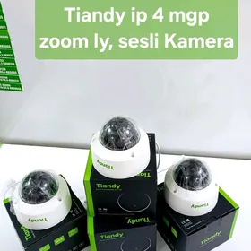 Tiandy Ip 4mgp Kamera