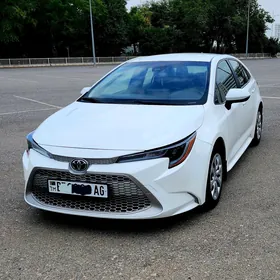 Toyota Corolla 2020