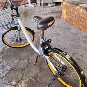 TIGIR OBIKE