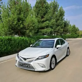 Toyota Camry 2019