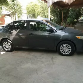 Toyota Corolla 2011