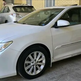 Toyota Camry 2013