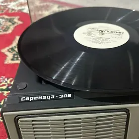 винил vinyl