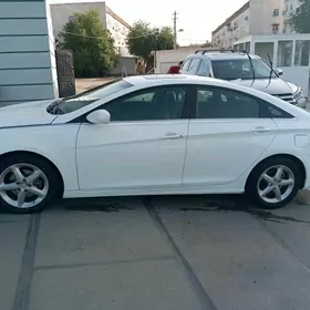 Hyundai Sonata 2010