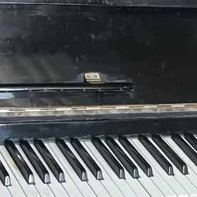 Pianina