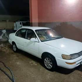 Toyota Corolla 1994