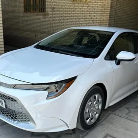 Toyota Corolla 2019