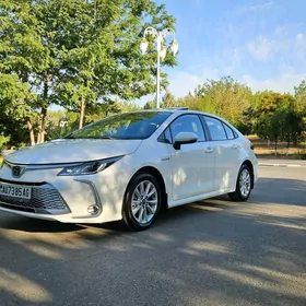 Toyota Corolla 2024