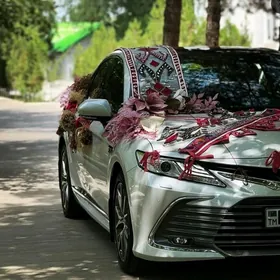 Toy Bezeg un Camry 2022