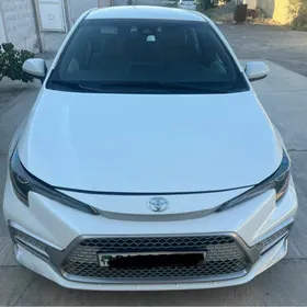 Toyota Corolla 2019