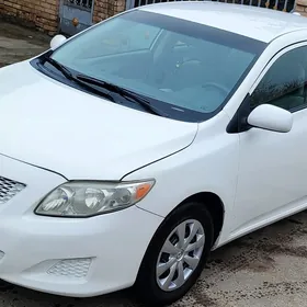 Toyota Corolla 2010