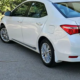 Toyota Corolla 2014