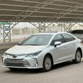 Toyota Corolla 2024