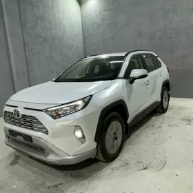 Toyota RAV4 2024