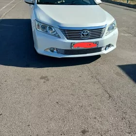 Toyota Aurion 2013