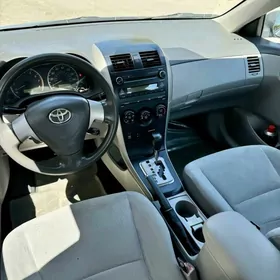 Toyota Corolla 2010