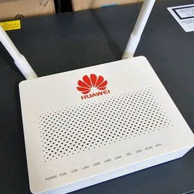 Gpon router