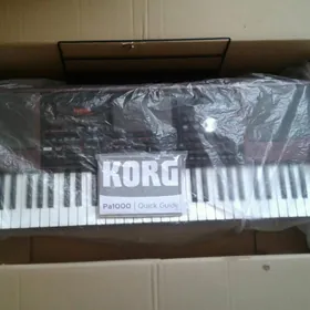 Korg Pa 1000