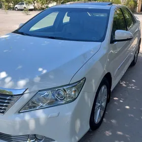 Toyota Aurion 2013