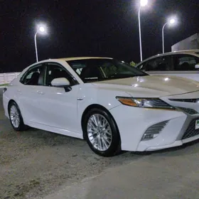 Toyota Camry 2020