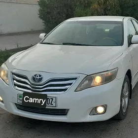 Toyota Camry 2010