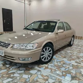 Toyota Camry 1999