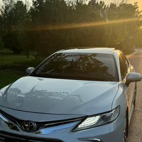 Toyota Camry 2019