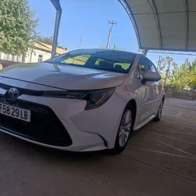 Toyota Corolla 2020