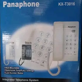 Domaşnyý telefon