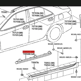 Palta camry  molding