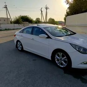 Hyundai Sonata 2010