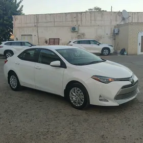 Toyota Corolla 2019