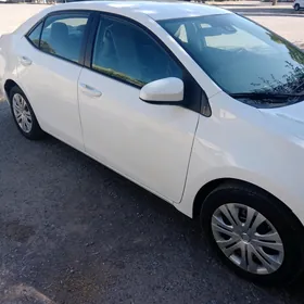 Toyota Corolla 2019